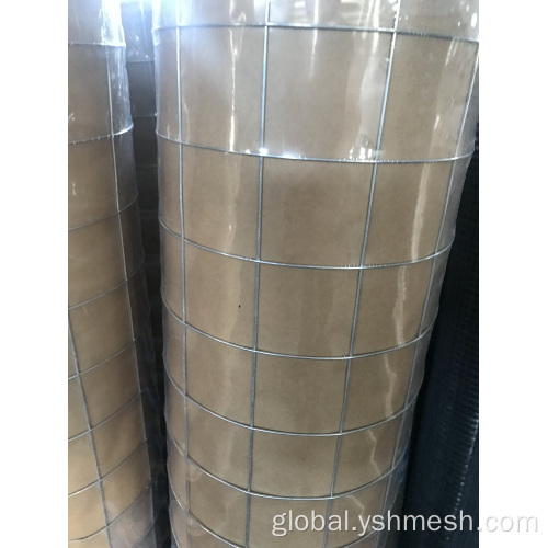 China Hot Dipped galvanized welded mesh Manufactory